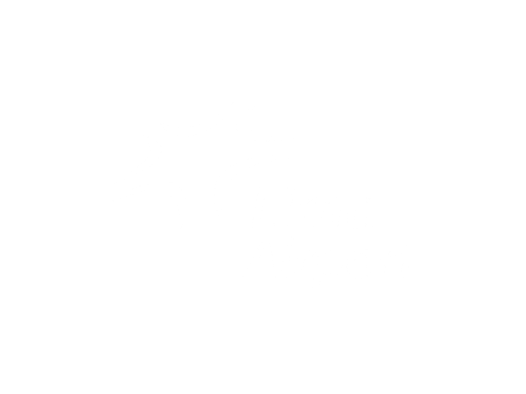 Lima Airport Partners